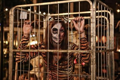 انجلیق هوس هتل