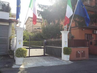 درمیر آلترو