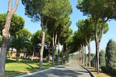 اسالسیانوم