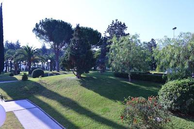 اسالسیانوم