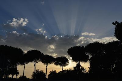 اسالسیانوم