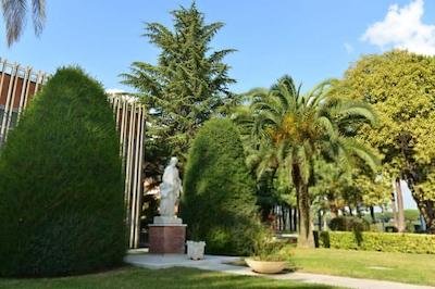 اسالسیانوم