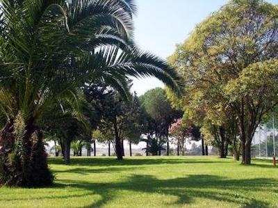 اسالسیانوم