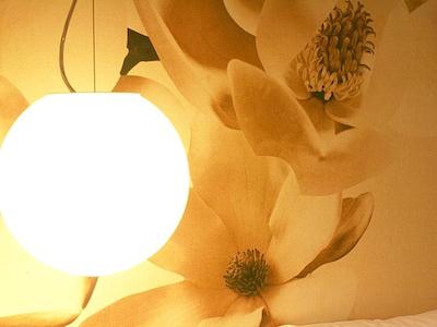 فابیو ماسیمو دیزاین هتل