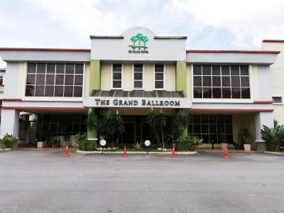 د پالما شاه آلام