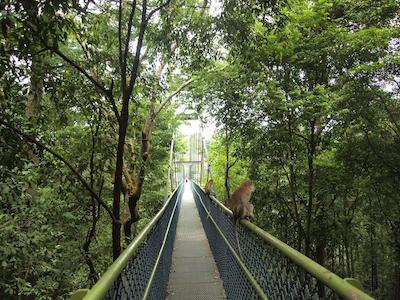 کیم تیان استار هتل