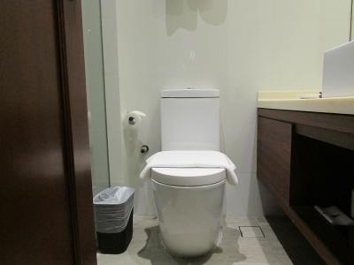 اکوئین هریتیج هتل جو چیات