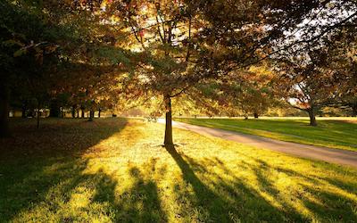 استرادرن متر لج