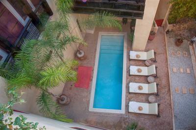 ریاد دار کارما