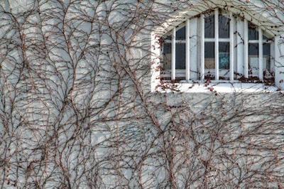 جیلهوس اکسمدیشن