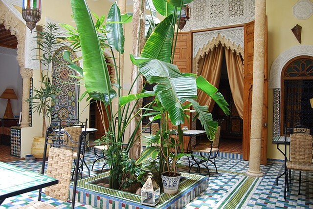 دار زوهور