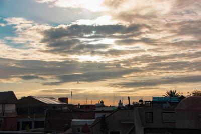 ریاد آلامین