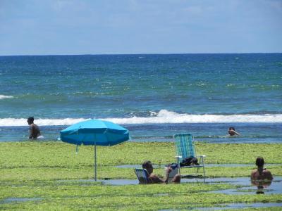 پوسادا پریا دو فلامنگو