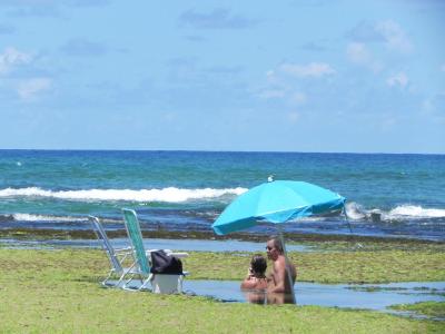 پوسادا پریا دو فلامنگو
