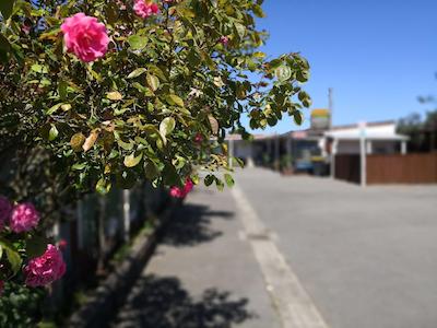 راسکورس باکپاکرز هستل