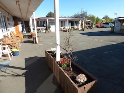 راسکورس باکپاکرز هستل