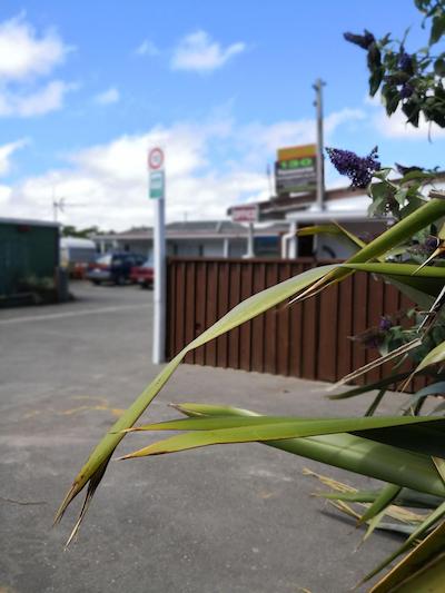 راسکورس باکپاکرز هستل