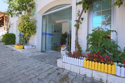 لیندا بیچ بوتیک کلاز هتل