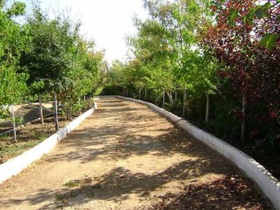 پانیون پارک رزیدنس