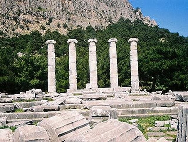 پانیون پارک رزیدنس