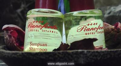 پیانوفورت هتل