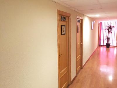 اریاده هستل