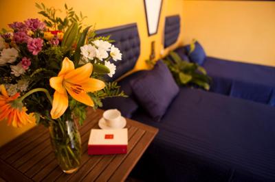 پنشن نووو پینو