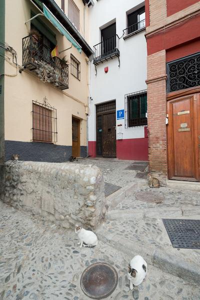 اُاسیز باکپاکرز هستل گرانادا