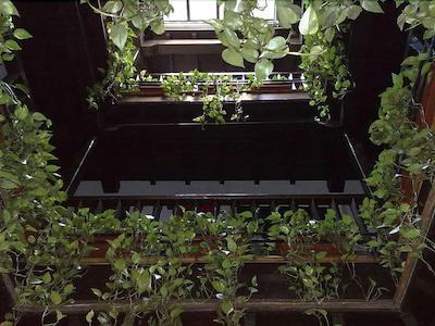 اُاسیز باکپاکرز هستل گرانادا