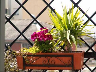 اُاسیز باکپاکرز هستل گرانادا