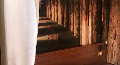 کاسا ویسنزا