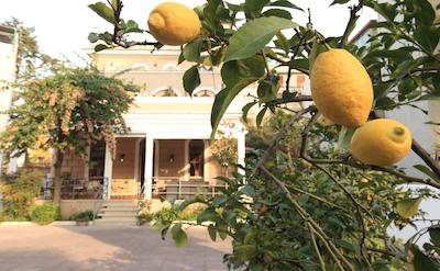 ویلا پیراندلو