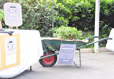 ویلا پیراندلو