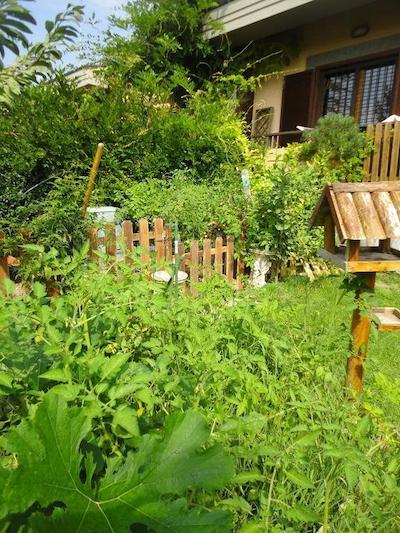 ارتیا ارت کهوسینگ ارتیست رسیدنسی