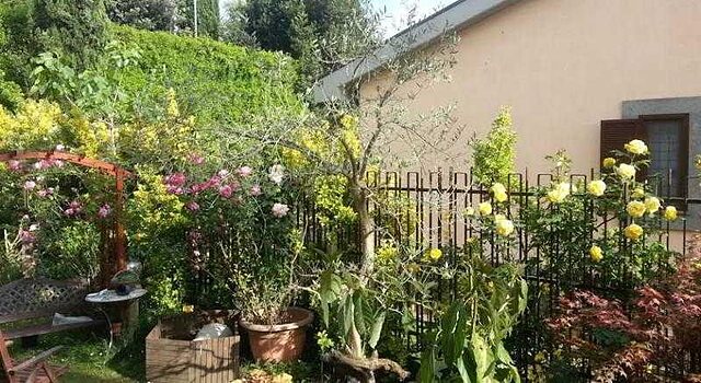 ارتیا ارت کهوسینگ ارتیست رسیدنسی