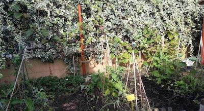 ارتیا ارت کهوسینگ ارتیست رسیدنسی