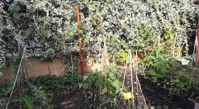 ارتیا ارت کهوسینگ ارتیست رسیدنسی