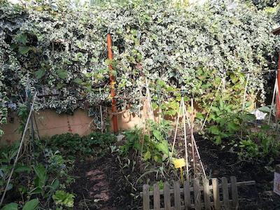 ارتیا ارت کهوسینگ ارتیست رسیدنسی