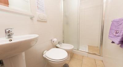 د فیتزری الگریا