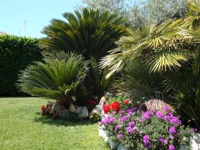 ا کاسا دی انا ا لوکا