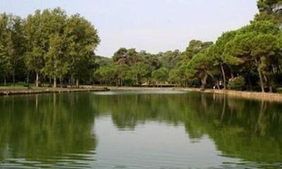 ا کاسا دی تیزیانا