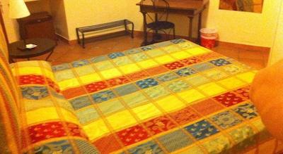 د فلور ب اند ب