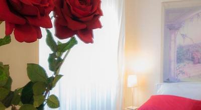 ادرم ب اند ب