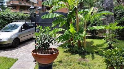 ایل جیاردینو دی جیولیا 2