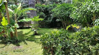 ایل جیاردینو دی جیولیا 2