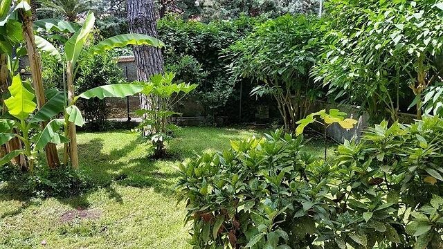 ایل جیاردینو دی جیولیا 2