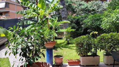 ایل جیاردینو دی جیولیا 2