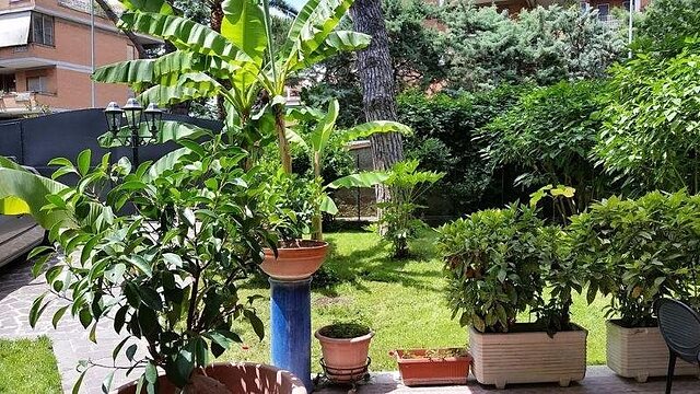 ایل جیاردینو دی جیولیا 2