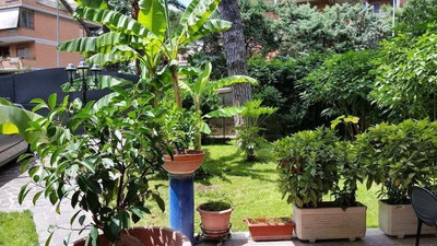 ایل جیاردینو دی جیولیا 2