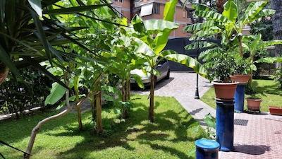 ایل جیاردینو دی جیولیا 2